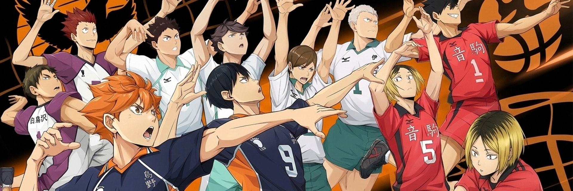HAIKYU!! FLY HIGH