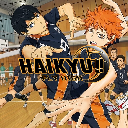HAIKYU!! FLY HIGH